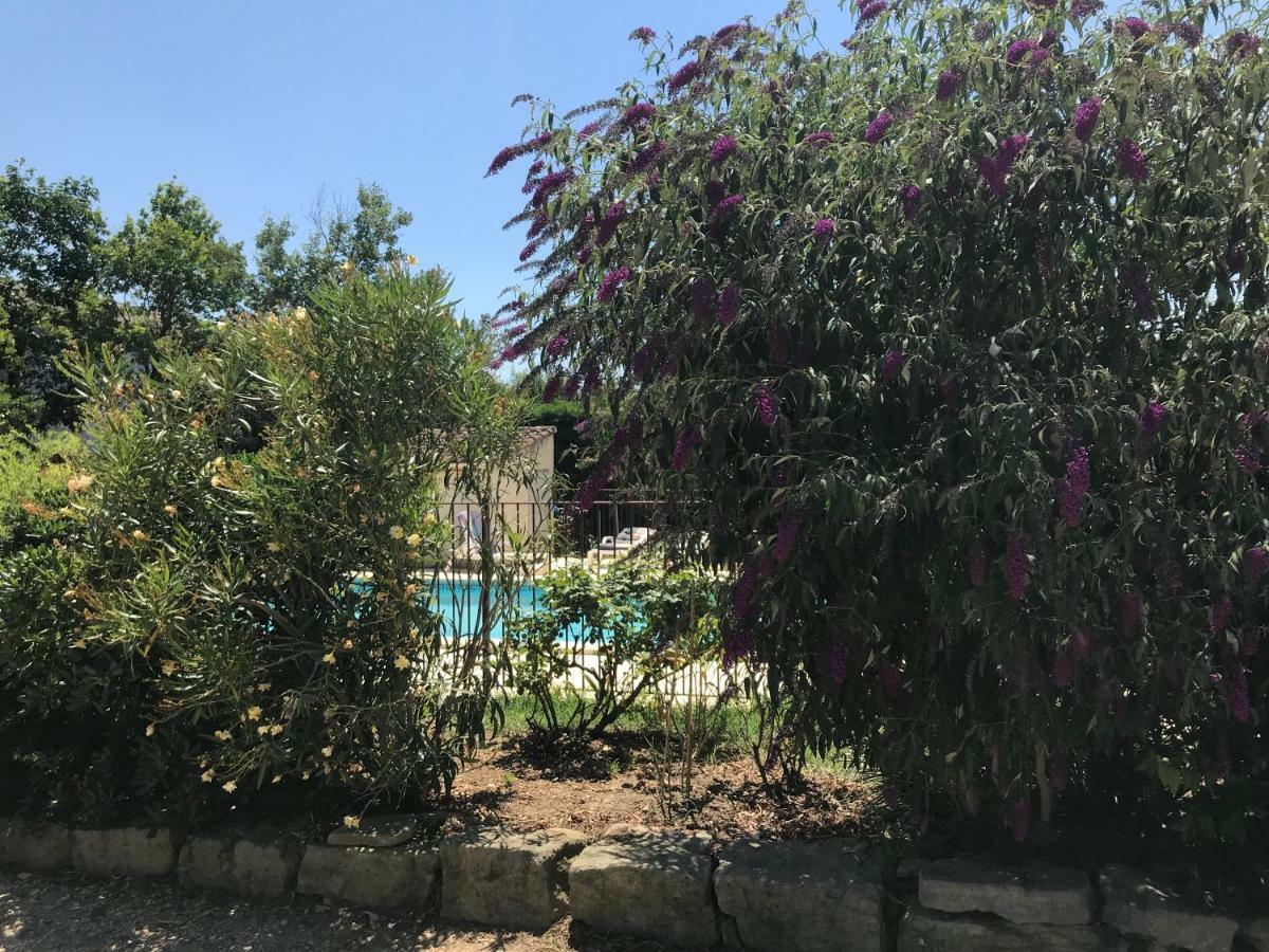 Les Buis Apartment Carpentras Exterior photo