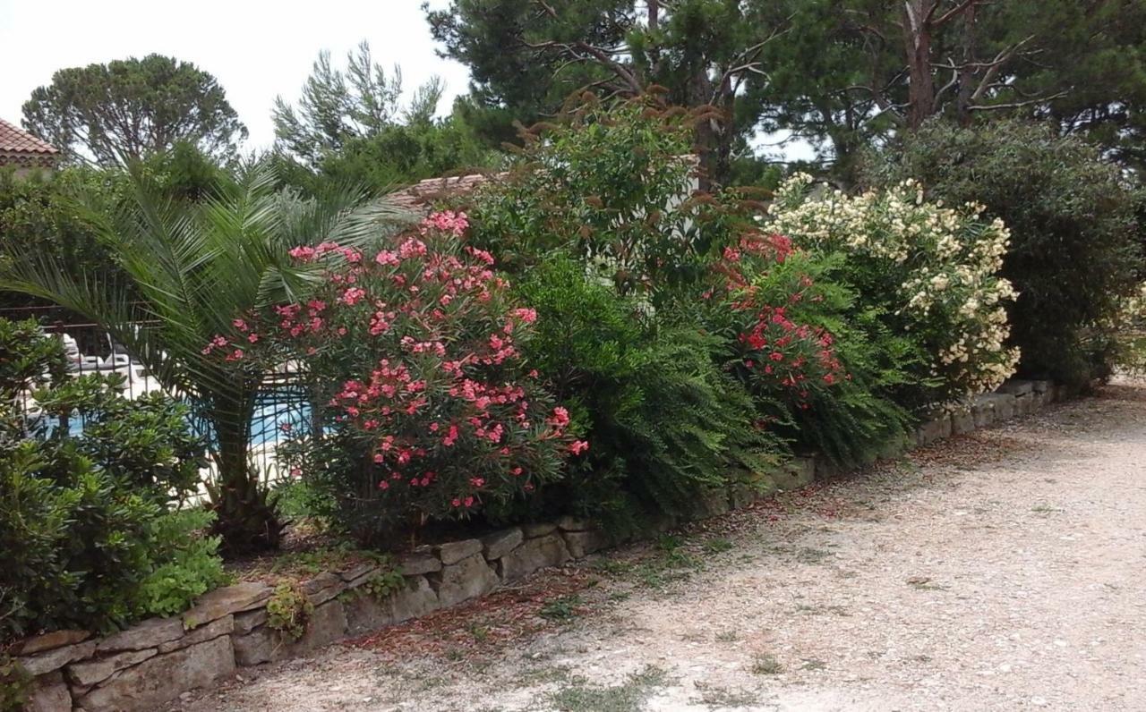 Les Buis Apartment Carpentras Exterior photo